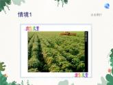 鲁教版（五四制）地理七年级上册 第四章第二节 农业课件