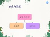 鲁教版（五四制）地理七年级上册 第四章第二节 农业课件