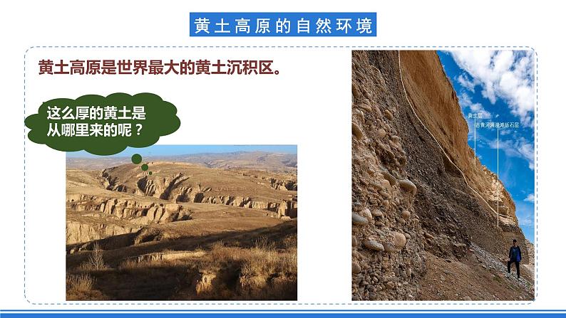 仁爱科普版地理八年级下册 7.1 黄土深厚千沟万壑的地形区——黄土高原 课件07