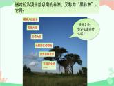 商务星球版地理七年级下册 7.3 撒哈拉以南的非洲课件