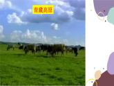 粤教版地理八年级上册 3.2 土地资源课件