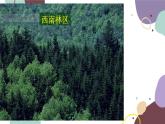 粤教版地理八年级上册 3.2 土地资源课件