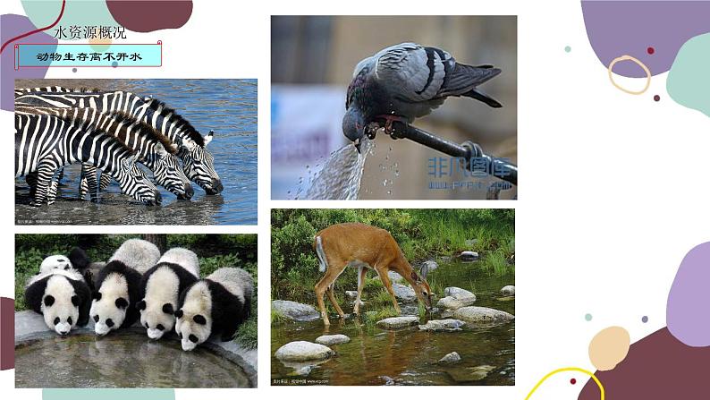 粤教版地理八年级上册 3.3 水资源课件05