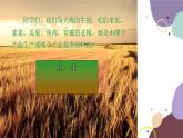 粤教版地理八年级上册 4.1 农业课件