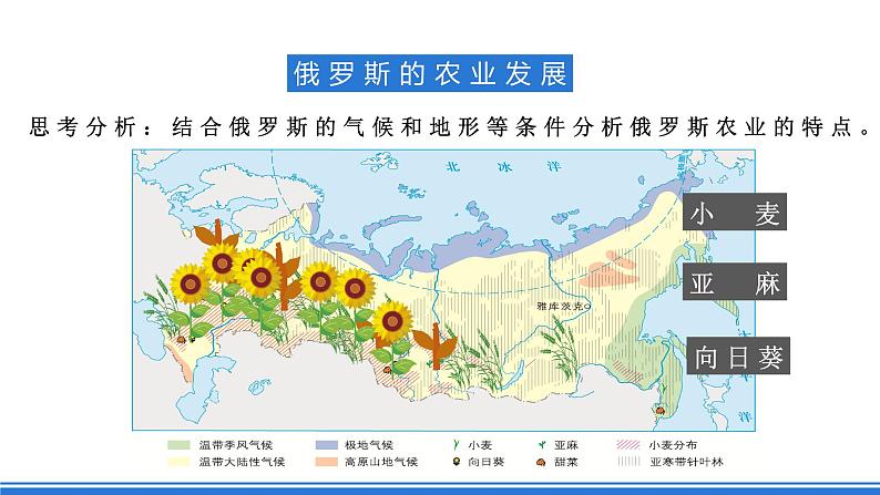 商务星球版地理七年级下册 8.2《俄罗斯》 课件07