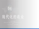 商务星球版地理七年级下册 8.6《美国》第2课时 课件
