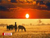 仁爱版地理七年级下册 7.4 撒哈拉以南的非洲 第1课时 课件
