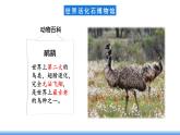鲁教版地理六年级下册 8.4 澳大利亚（第1课时） 课件