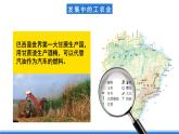 鲁教版地理六年级下册 9.2 巴西（第2课时） 课件
