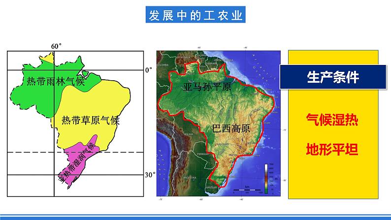鲁教版地理六年级下册 9.2 巴西（第2课时） 课件06