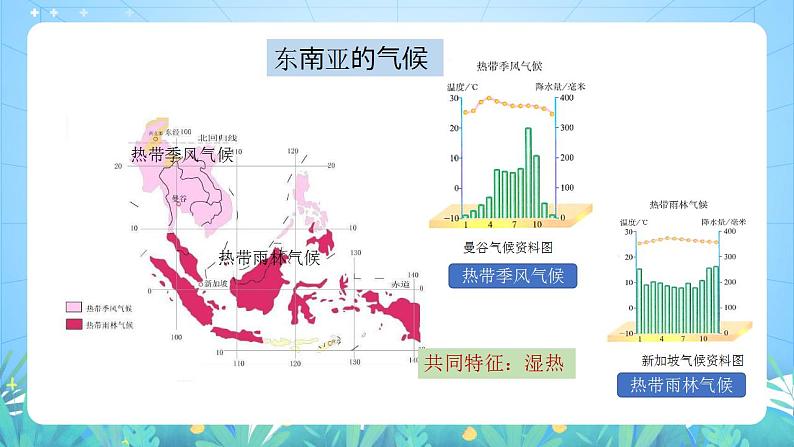 晋教版地理七年级下册 9.1.2 东南亚—两洲两洋的十字路口（第2课时 热带风光和农业）（课件）06