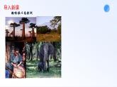 8.3  撒哈拉以南非洲 课件-----2023-2024学年地理人教版七年级下册