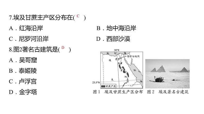 2024中考地理三轮复习课件  第15讲 日本和埃及08