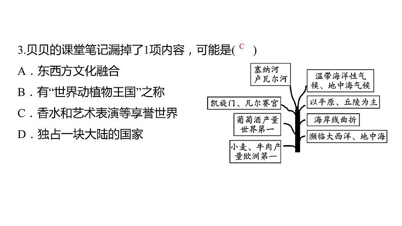 2024中考地理三轮复习课件  第17讲 法国和美国第4页