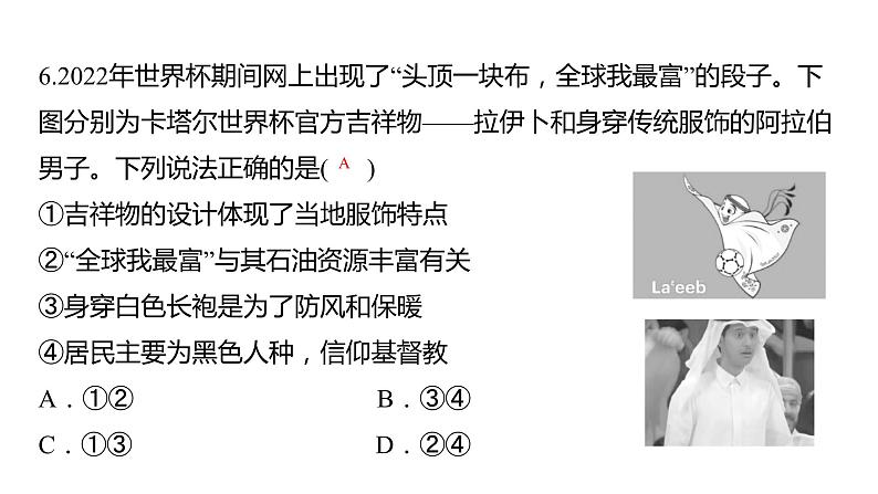 2024中考地理三轮复习课件 第13讲 南亚、西亚07