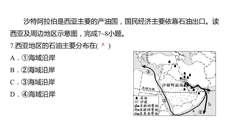 2024中考地理三轮复习课件 第13讲 南亚、西亚08