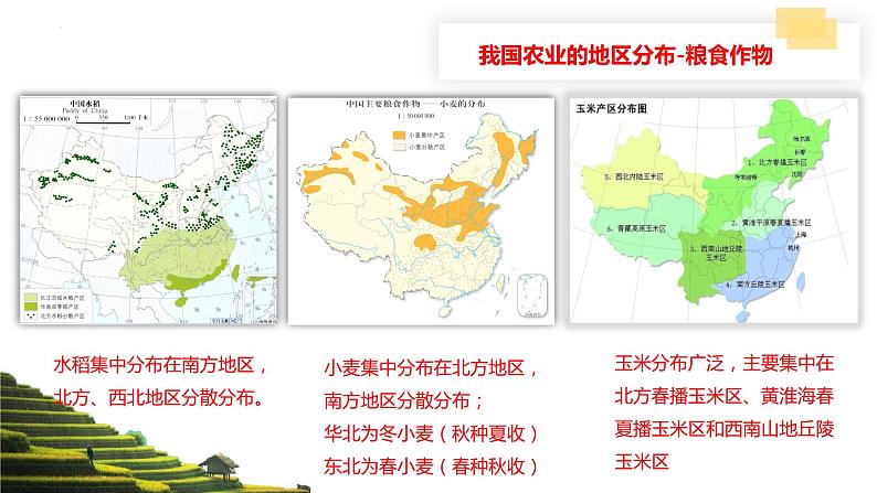 2024中考地理三轮复习课件3.3（衔接课）产业发展 课件 初升高地理衔接08