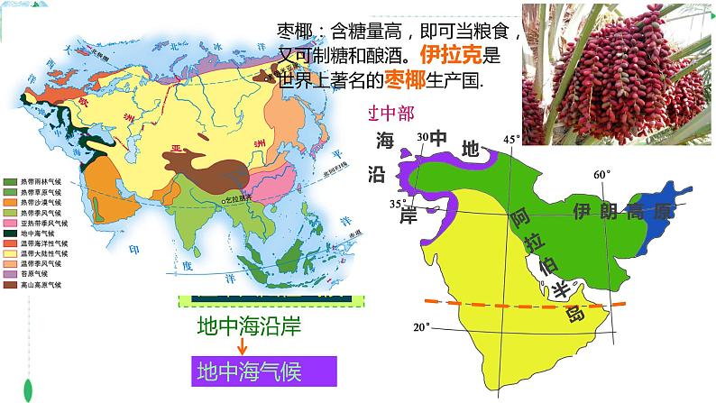 2024年中考地理复习课件：专题六：西亚、日本和俄罗斯 课件第3页