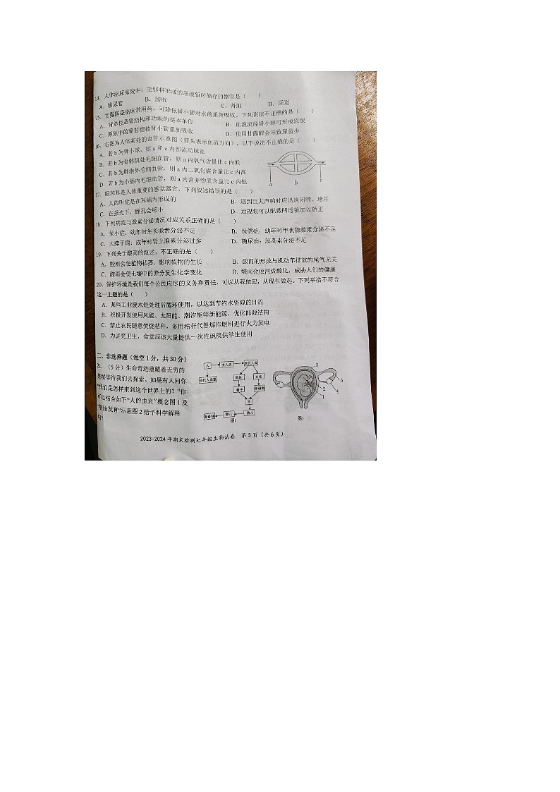 湖北省黄石市黄石港区2023-2024学年下学期期末质量检测七年级地理生物第3页