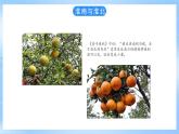 仁爱科普版地理八年级下册 6.2 北方地区和南方地区课件