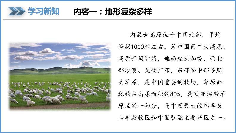 2.1 中国的地形第2课时 地形复杂多样课件----2024年初中秋季地理湘教版八年级上册06