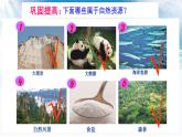 3.1 自然资源概况  课件----2024年初中秋季地理湘教版八年级上册