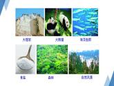 3.1 自然资源概况 课件 ----2024年初中秋季地理湘教版八年级上册