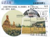 3.2   中国的土地资源第一课时 我国土地资源的特点 课件---2024年初中秋季地理湘教版八年级上册