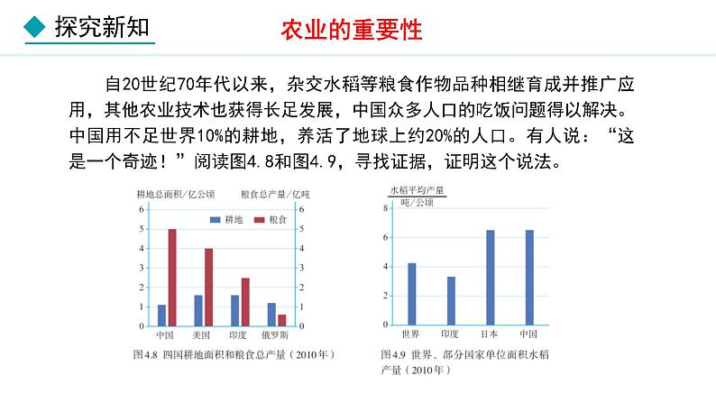 人教版八年级地理上册课件 4.2.1 农业（一）第7页