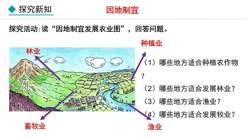 人教版八年级地理上册课件 4.2.2 农业（二）03