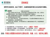 人教版八年级地理上册课件 4.2.2 农业（二）