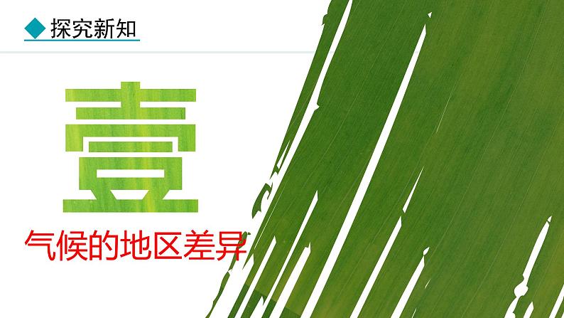 4.4.1 气候的地区差异 世界气候类型的分布（课件）-2024-2025学年七年级地理上学期人教版（2024）04