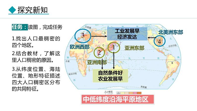 5.1.2 世界人口的分布  不同的人种（课件）-2024-2025学年七年级地理上学期人教版（2024）08