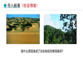 5.2.2 降水 世界降水的分布 气候信息的表示方法(课件) -2024-2025学年地理湘教版（2024）七年级上册