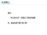 湘教版八年级地理上册课件 4.1.1 农业的含义及发展 主要粮食作物的分布