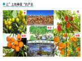 湘教版八年级地理上册课件 4.1.1 农业的含义及发展 主要粮食作物的分布