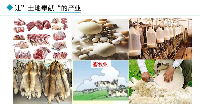 湘教版八年级地理上册课件 4.1.1 农业的含义及发展 主要粮食作物的分布第6页