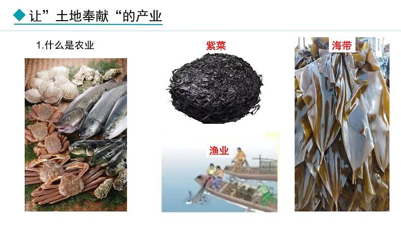 湘教版八年级地理上册课件 4.1.1 农业的含义及发展 主要粮食作物的分布第7页