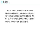 湘教版八年级地理上册课件 4.3 交通运输业