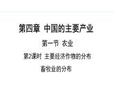 湘教版八年级地理上册课件 4.1.2 主要经济作物的分布