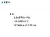 湘教版八年级地理上册课件 4.1.2 主要经济作物的分布