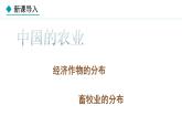 湘教版八年级地理上册课件 4.1.2 主要经济作物的分布