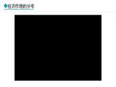 湘教版八年级地理上册课件 4.1.2 主要经济作物的分布