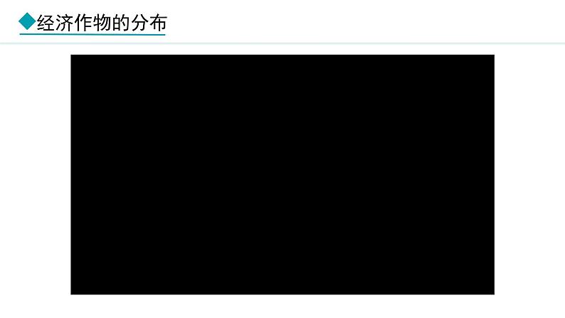 湘教版八年级地理上册课件 4.1.2 主要经济作物的分布05