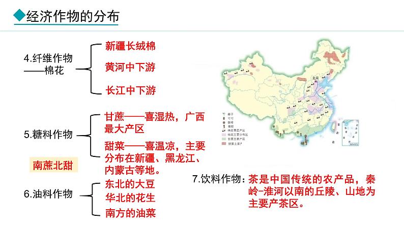 湘教版八年级地理上册课件 4.1.2 主要经济作物的分布06