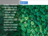 【新课标】4.2.1 中国的农业 第1课时 课件-人教版地理八年级上册