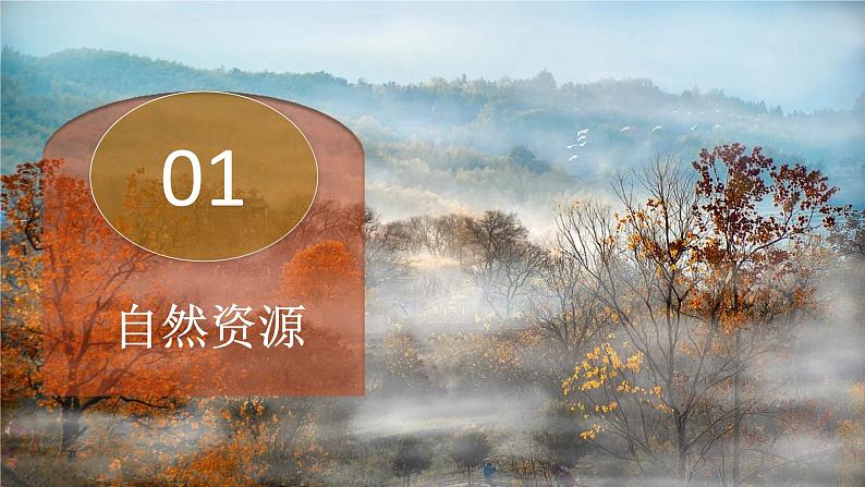 活动课 合理利用与保护自然资源（课件）-2024-2025学年八年级地理上册同步课堂（商务星球版）03