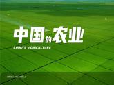 第4章第2节 中国的农业  课件--2024年初中秋季地理人教版八年级上册
