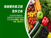 第4章第2节 中国的农业  课件--2024年初中秋季地理人教版八年级上册