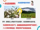 4.2 中国的农业 —以新疆为例  课件  ---2024年初中秋季地理人教版八年级上册